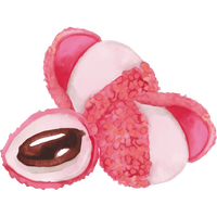 Litchi