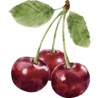 Sweet Cherry